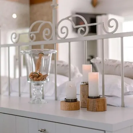 Beautiful And Spacious House With Swimming Pond Sauna And Garden Koksijde